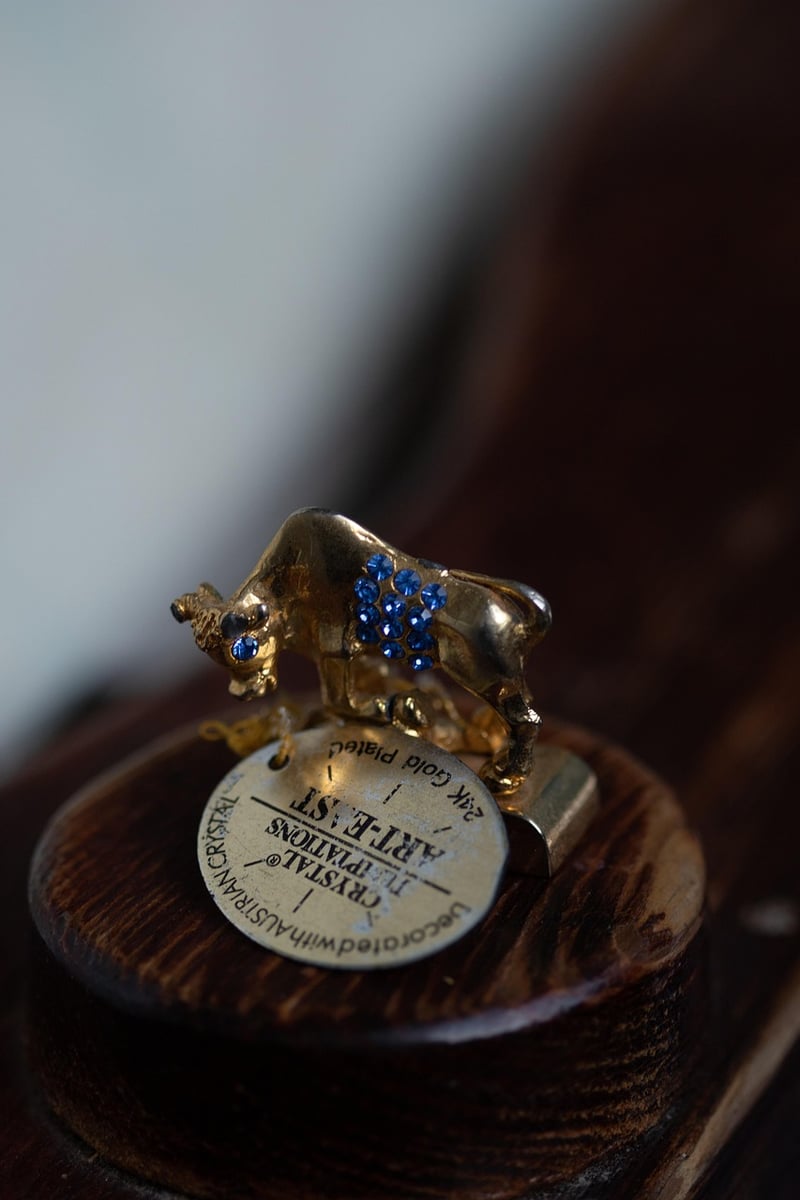 Zodiac wedding favors